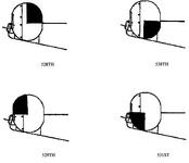 Tail
Markings Fig 1